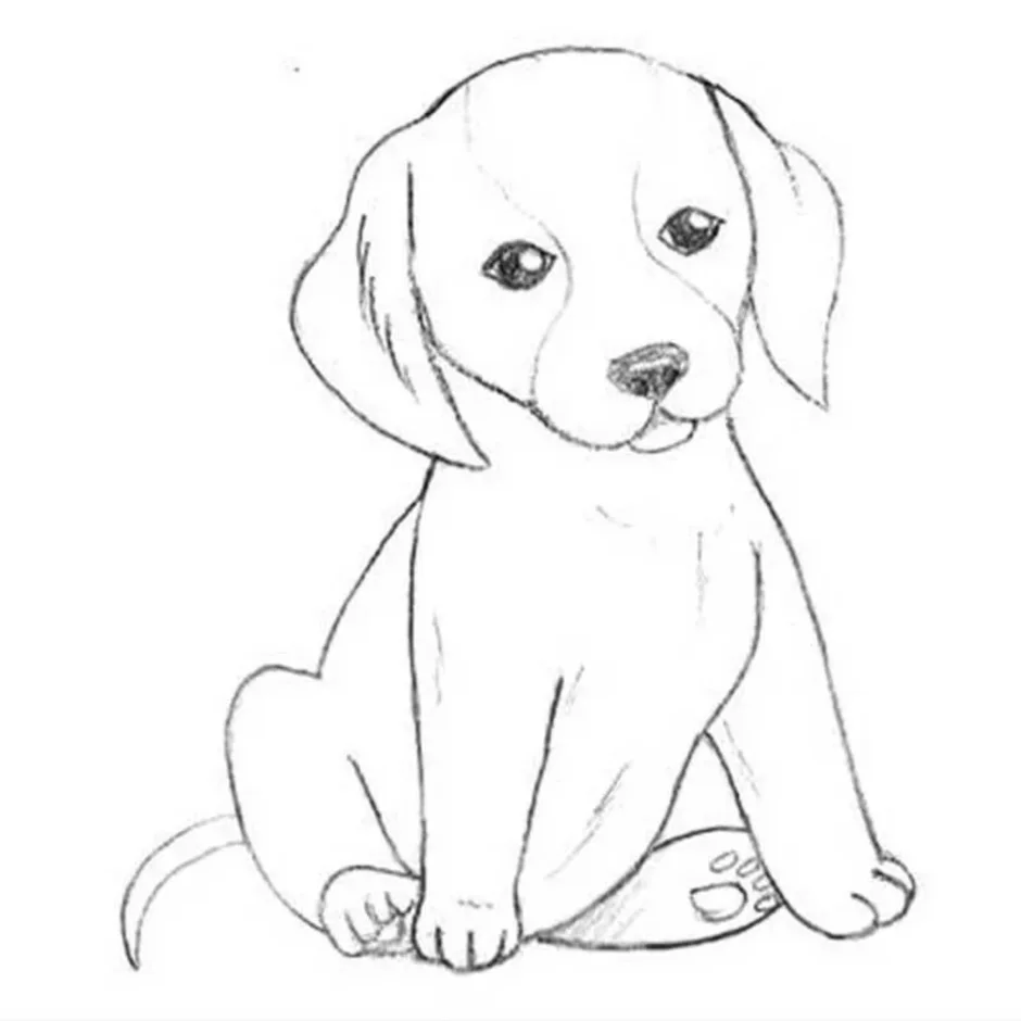 Собака карандашом легко для детей. Рисунок собаки для срисовки. Собака рисунок карандашом. Рисунок щенка для срисовки. Рисунок собаки карандашом для срисовки.