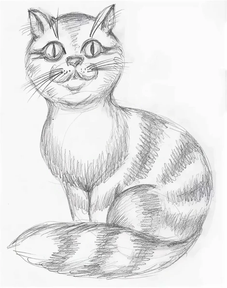 Картинки кошек рисовать. Кошка рисунок. Кошка карандашом. Кошка рисунок карандашом. Красивые рисунки кошек карандашом.