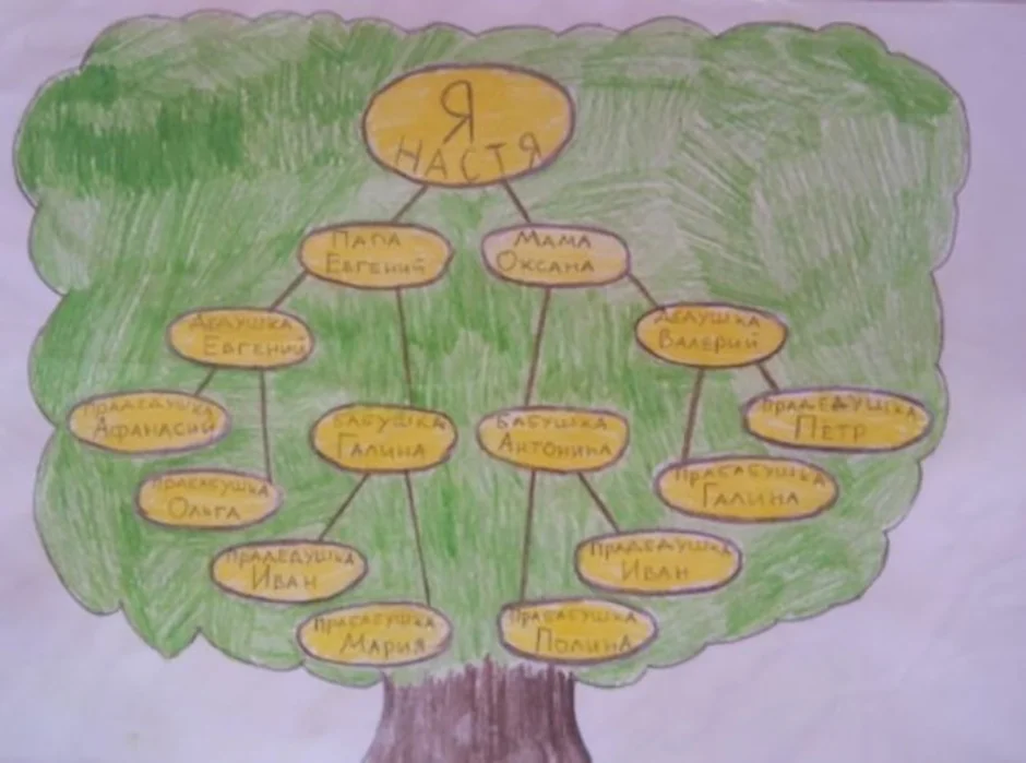 Древо семьи рисунок 2 класса окружающий мир. Рисование генеалогического дерева. Генеалогическое дерево рисунок. Семейное дерево рисунок. Нарисовать дерево семьи.