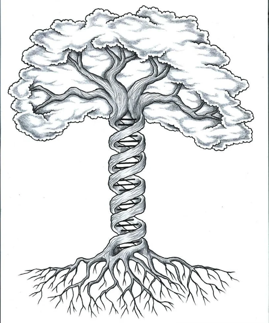 Дерево рисунок биология. Мировое дерево эскиз. Дерево жизни с корнями. Эскиз тату дерево с корнями. Дерево с корнями трафарет.