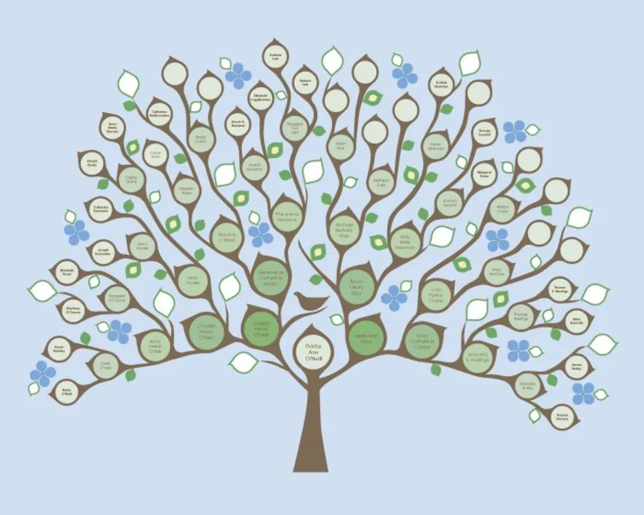 Аудиокнига древо 2 слушать. Шежере родословная. Дерево жизни родословная. Шежере генеалогическое Древо. Генеологичне дерево.