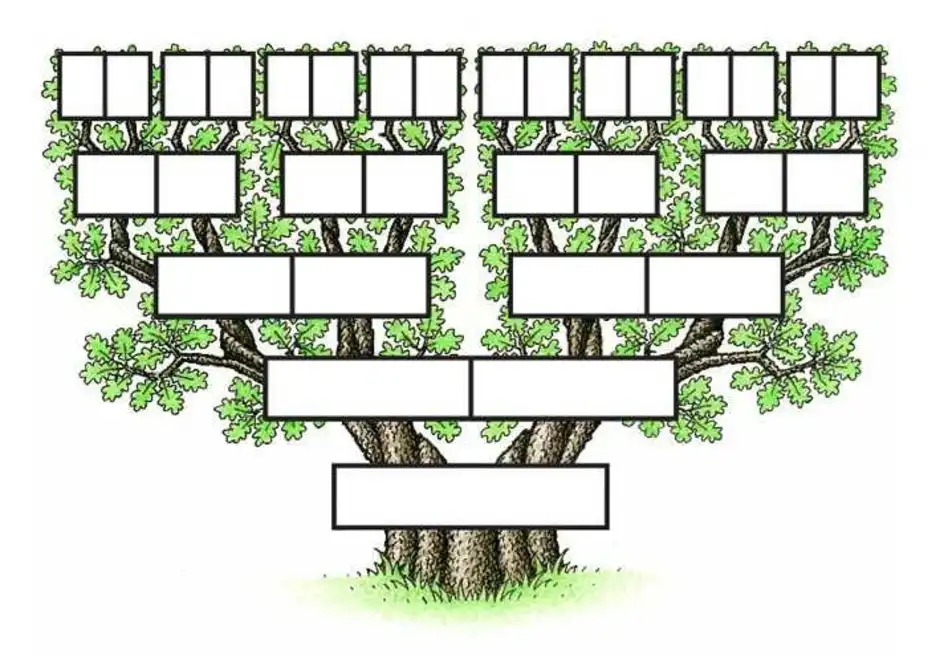 Древо семьи а4. Шежере родословная. Генеалогическое дерево схема для заполнения. Генеалогическое дерево шаблон. Макет генеалогического дерева.