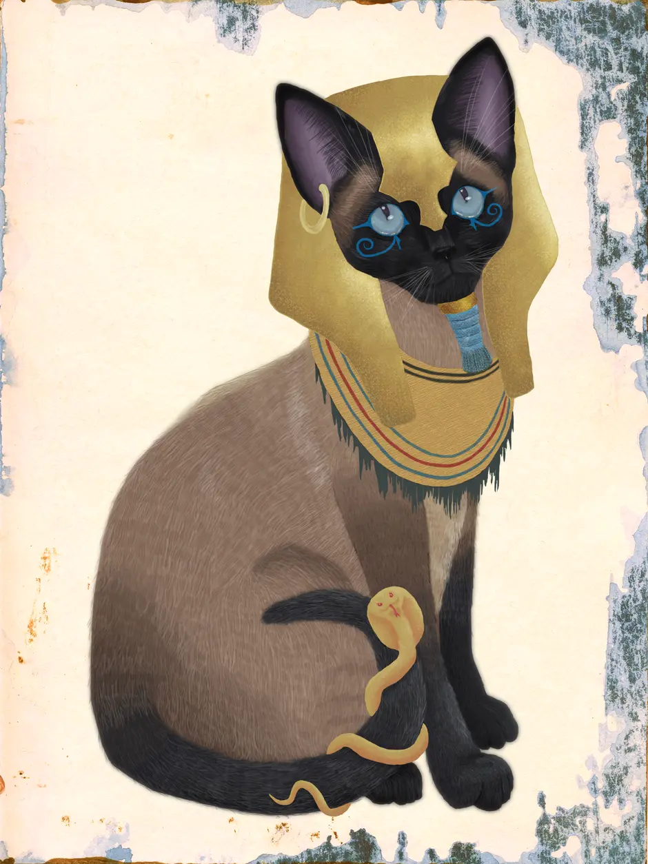 сфинкс кошка в египте