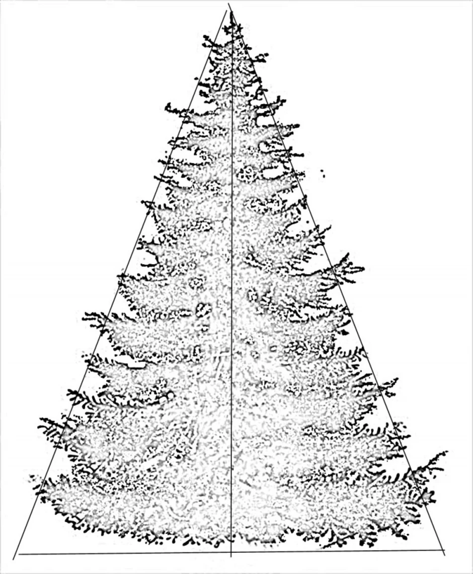 Новогодняя елка карандашом. Елка карандашом. Елка для срисовывания. Нарисовать ёлку карандашом.