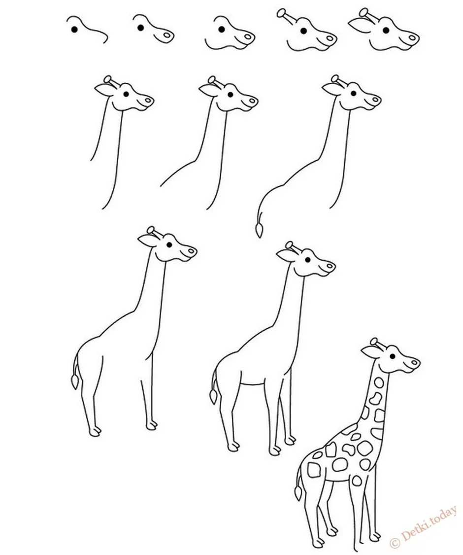 Жираф поэтапно для детей. Рисунок жирафа. Поэтапное рисование жирафа. Жираф рисунок карандашом. Рисунки животных легкие.
