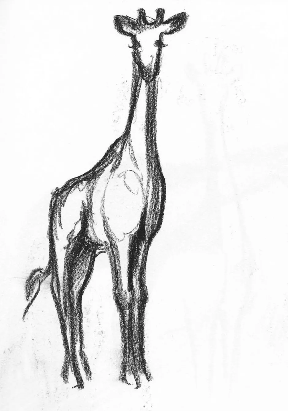 На рисунке изображен жираф. Жираф Наброски. Жираф рисунок карандашом. Скетчи жирафа. Рисунок жирафа карандашом.