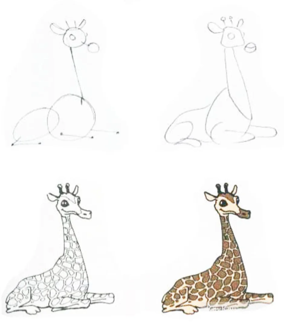 Жираф поэтапно для детей. Рисование жирафа. Поэтапное рисование жирафа для дошкольников. Нарисовать жирафа ребенку. Жираф рисунок для детей карандашом.
