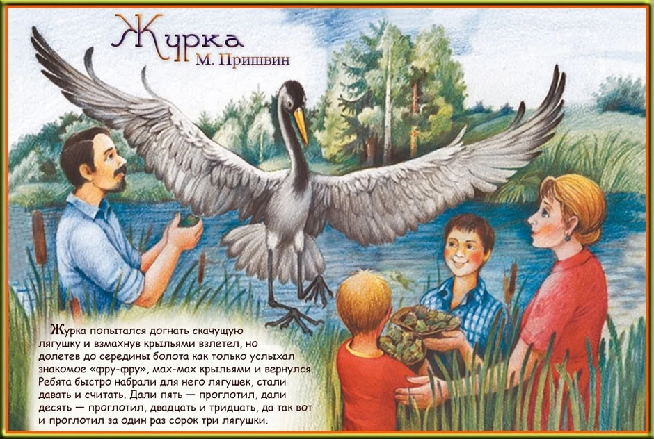 Журка