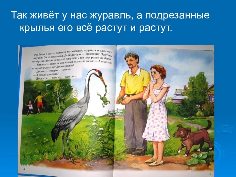 План к рассказу журка михась даниленко