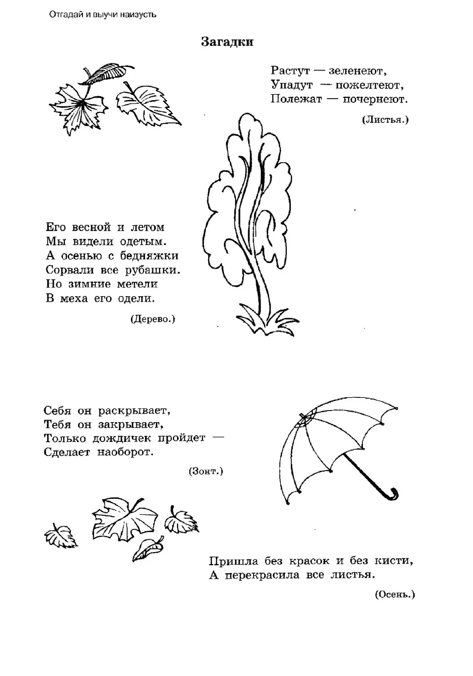 Загадки С Рисунками Для 3 Класса (50 Фото)