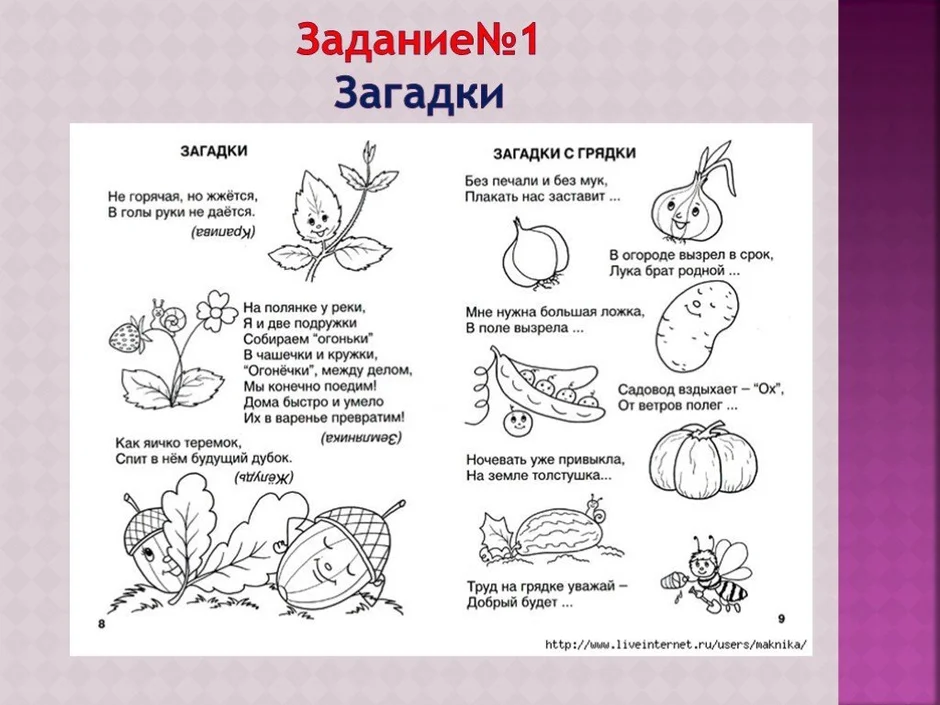 Загадки для 4 5 лет с картинками