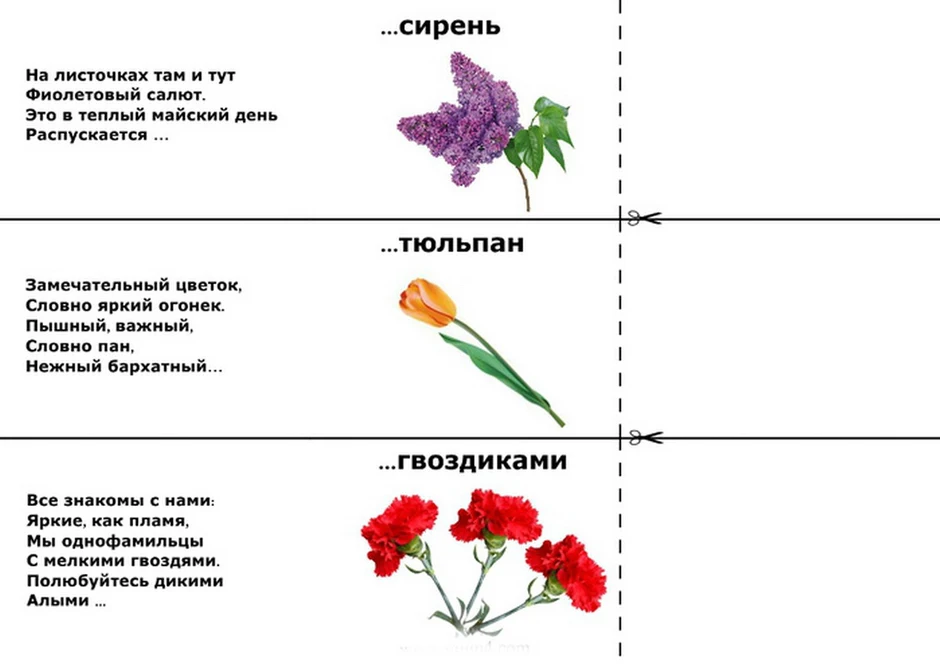 Загадки с прилагательными с ответами и с рисунками