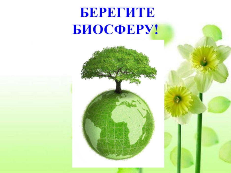 Сохранение равновесия биосферы. Биосфера это в экологии. Рисунок отражающий идею сохранения биосферы. Защита биосферы. Охрана биосферы.