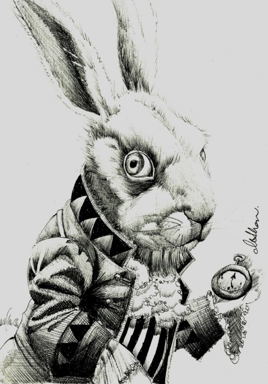 John rabbit