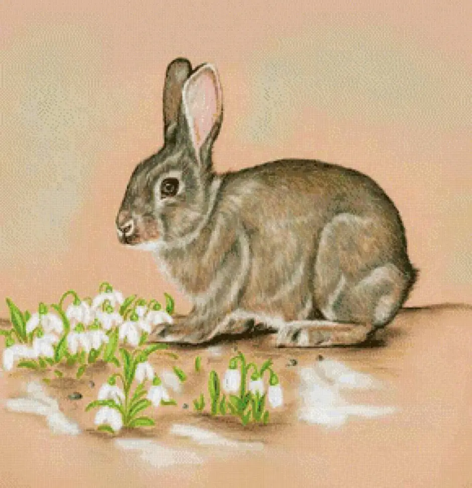 Картинки зайцев для детей. Заяц рисунок. Заяц иллюстрация для детей. Кролик рисунок. Заяц картинки нарисованные.
