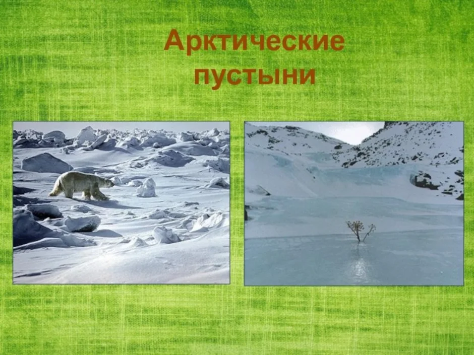 Рисунок арктической пустыни. Природный комплекс арктических пустынь. Арктические пустыни презентация. Арктические пустыни плакат. Арктические пустыни 8 класс.