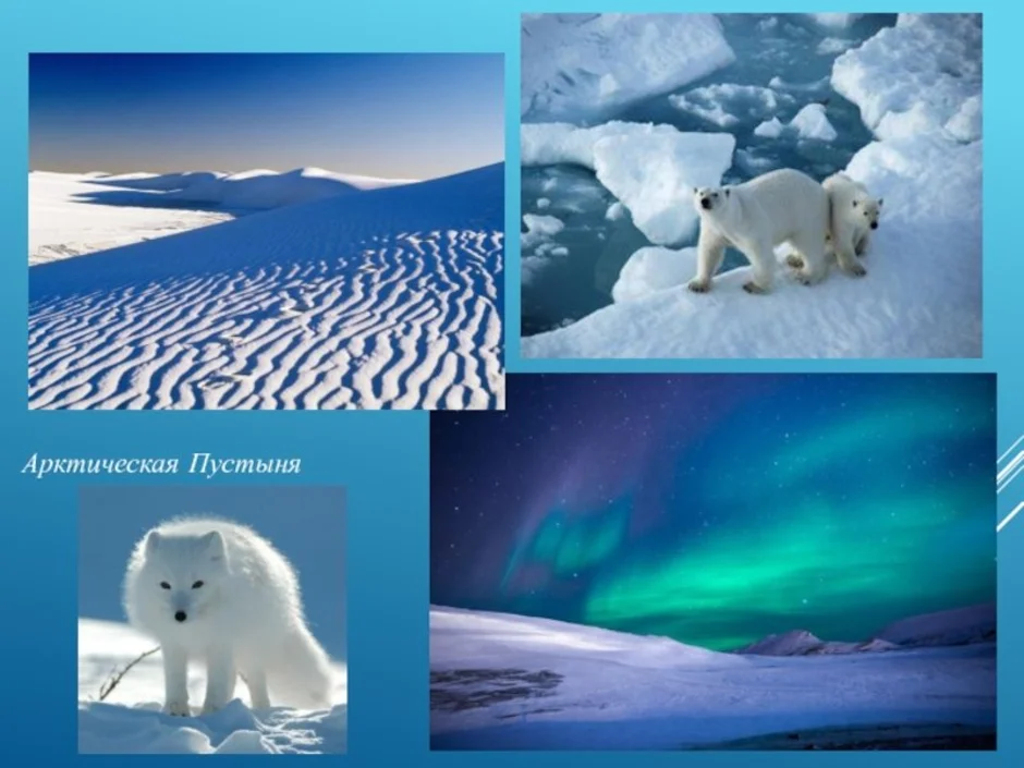 Природные зоны россии арктические пустыни животные. Арктика зона арктических пустынь. Природные зоны России Арктика. Зона Арктическая пустыня. Природная зона арктических пустынь.