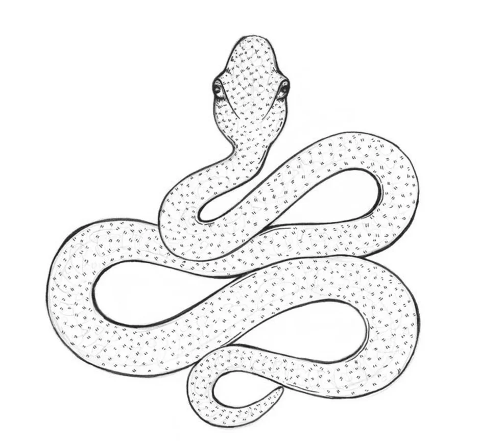 Легкий рисунок змей. Рисунок змеи. Змея карандашом. Змея нарисовать. Змеи для срисовки.
