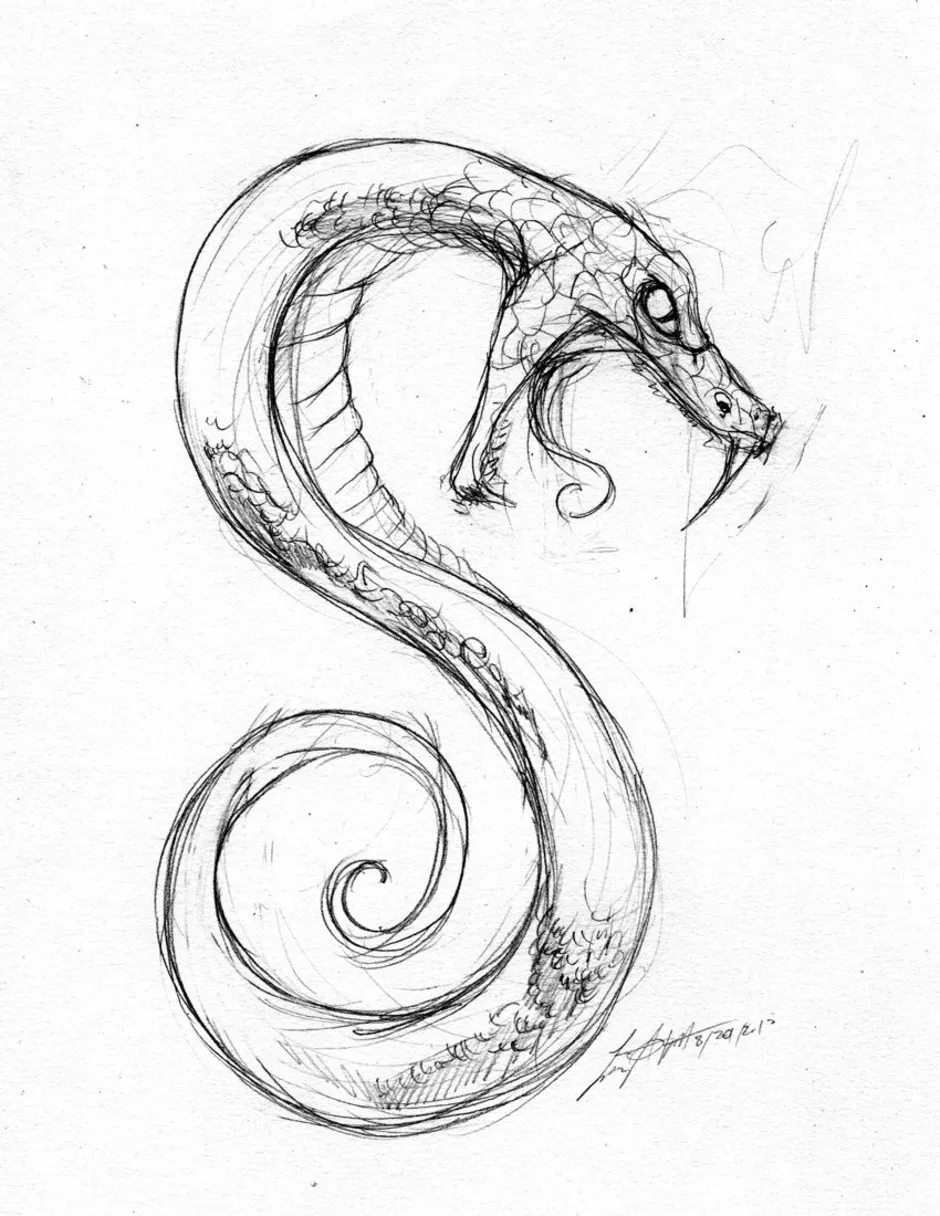 Легкий рисунок змей. Рисунок змеи. Зарисовки змей. Рисунки для срисовки змея. Змея рисунок карандашом для срисовки.
