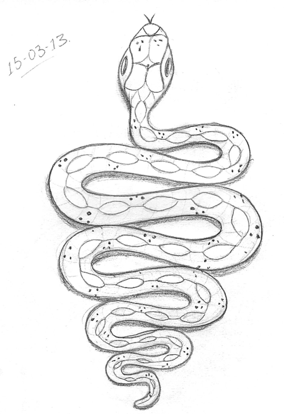 Змея рисунок легкий для срисовки