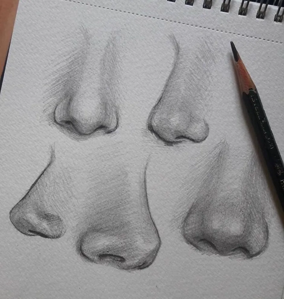 Нос рисунок ручкой