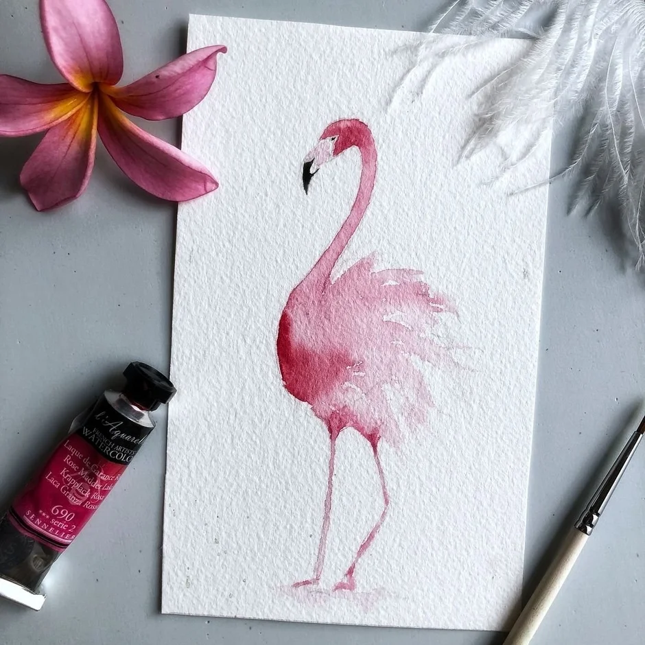 Фламинго акварель эскиз