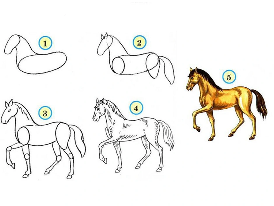 Картинки как нарисовать лошадь