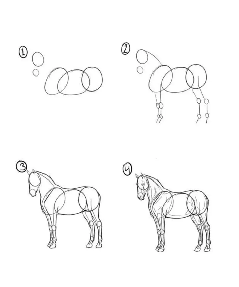 Пошаговое рисование лошади карандашом