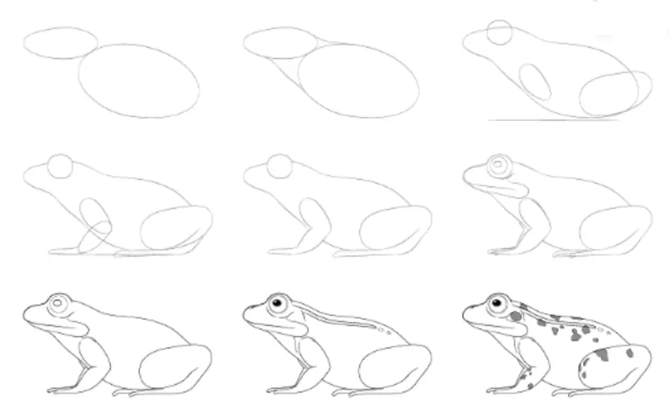 Как карандашом нарисовать лягушку карандашом поэтапно для детей