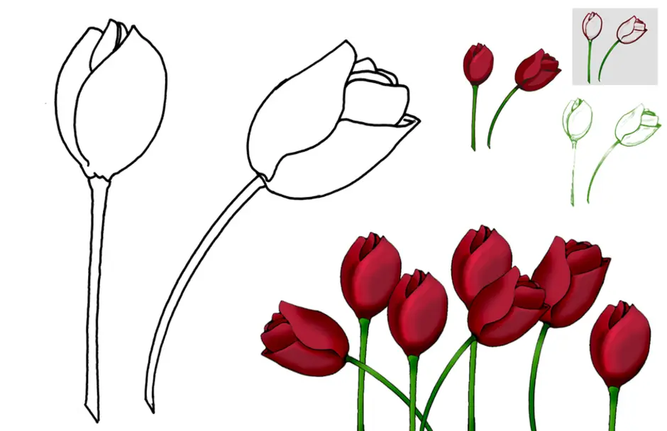 Тюльпан поэтапно карандашом для начинающих. Рисование тюльпанов. Тюльпаны рисунок. Тюльпаны карандашом. Поэтапное рисование тюльпана.