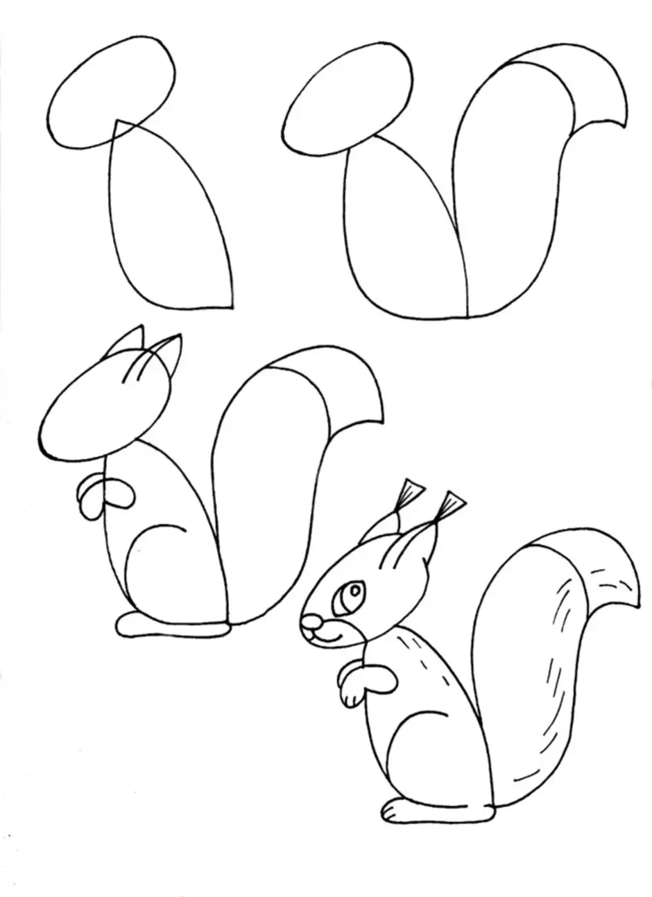 Что можно нарисовать 4 класс. Поэтапное рисование животных. Схемы рисования для детей. Лёгкие рисунки для детей. Пошаговое рисование белки.