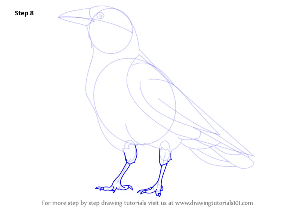 Птица грач картинки как рисовать