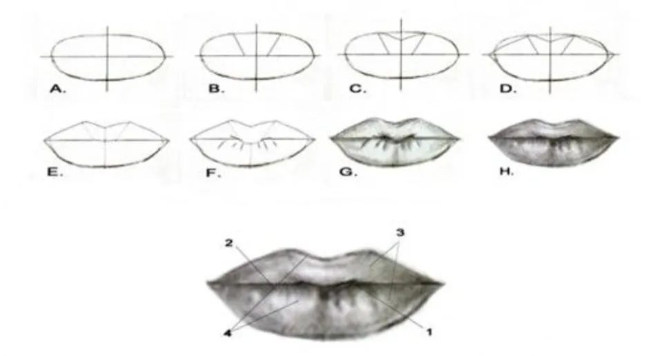 Как научиться рисовать губы человека