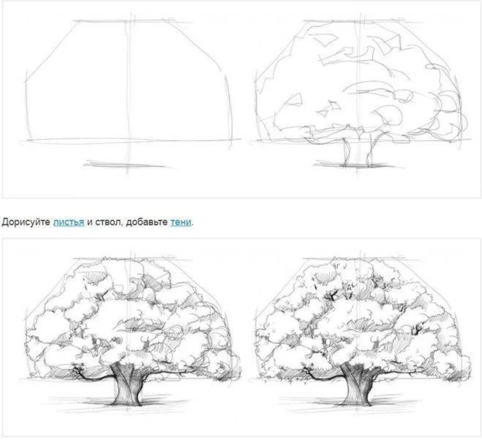 Рисунок дерева поэтапно. Поэтапное рисование дуба. Дерево рисунок пошагово. Поэтапное рисование дерева дуб. Рисунок карандашом дерево пошагово.