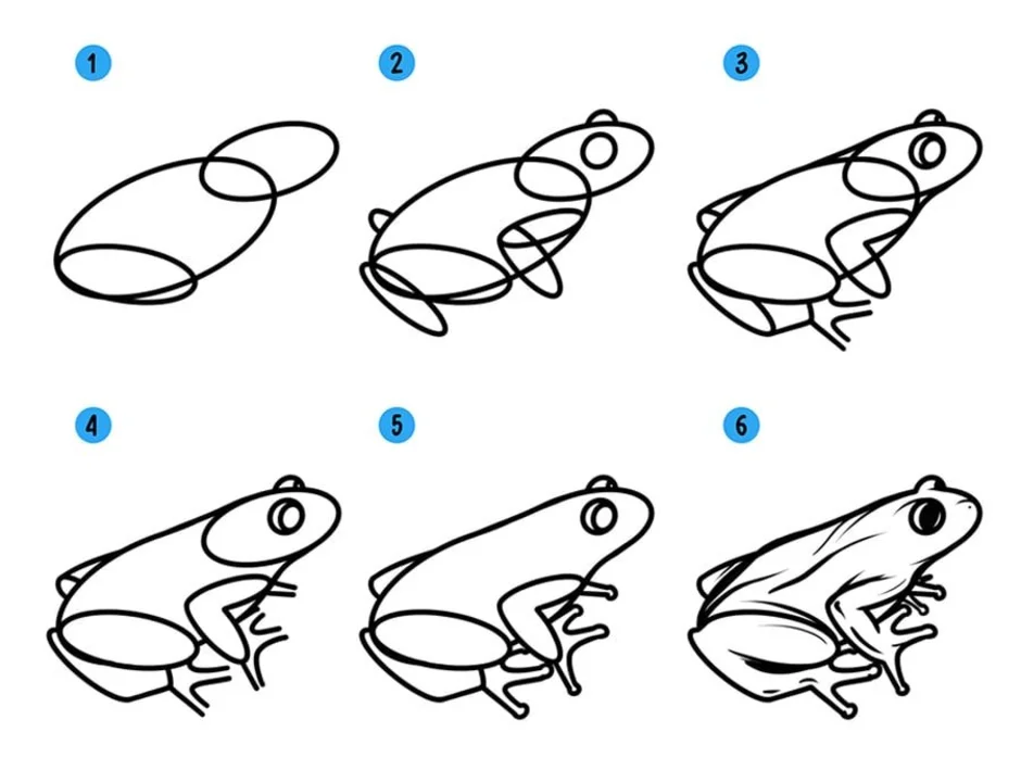 Как легко нарисовать лягушек