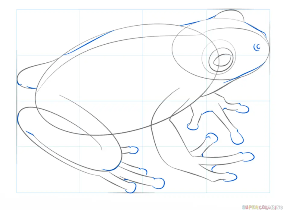 Схема рисунка лягушки. Лягушка поэтапно. Поэтапное рисование Жабы. Схематический рисунок лягушки. Рисуем лягушку поэтапно.