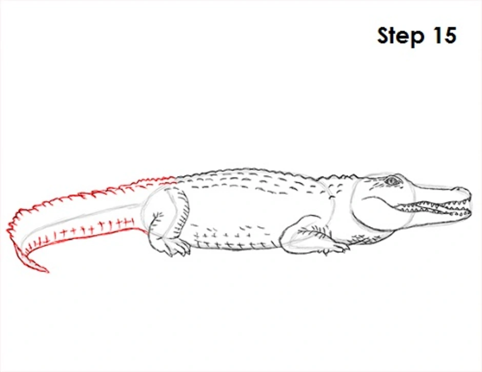 Крокодил рисунок поэтапно