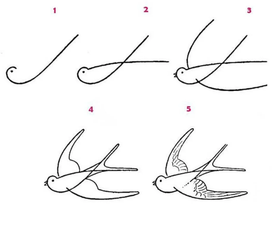 Как нарисовать птицу карандашом