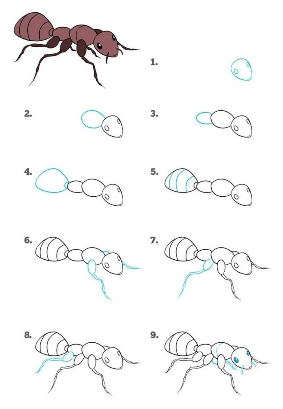 Как нарисовать муравья ребенку 7 лет