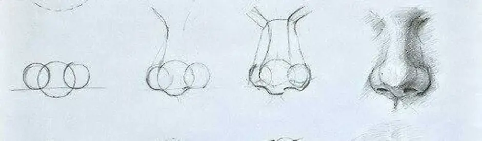 Нос как рисовать поэтапно для начинающих легко