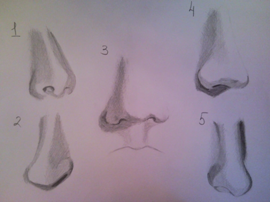 Как карандашом нарисовать нос поэтапно карандашом для начинающих детей