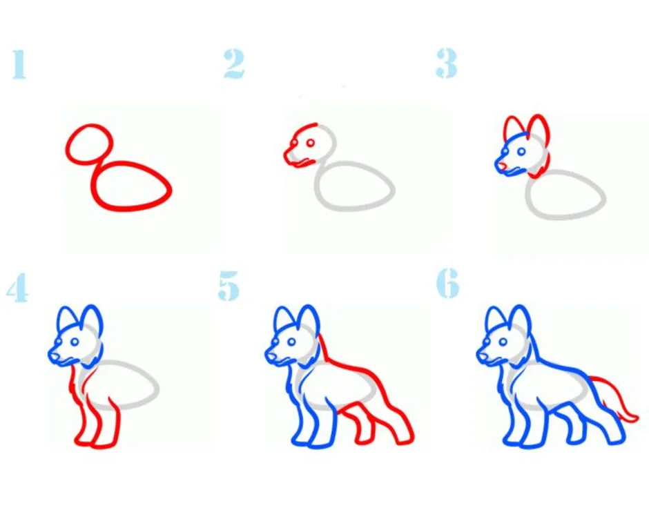 Нарисовать кому легко. Поэтапное рисование волка для детей. Уроки рисования собака для детей. Рисование овчарки пошагово. Рисунок собаки легкий.
