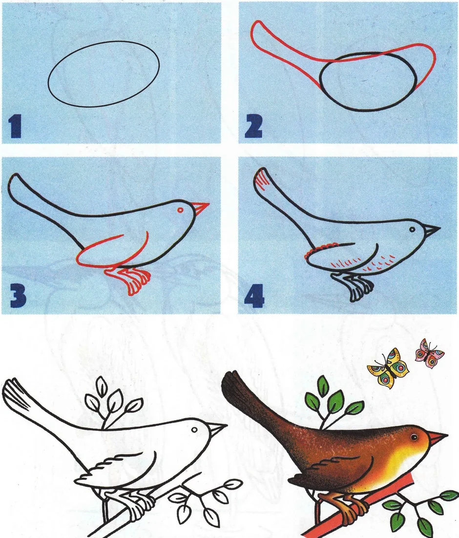 Как быстро и легко нарисовать птичку