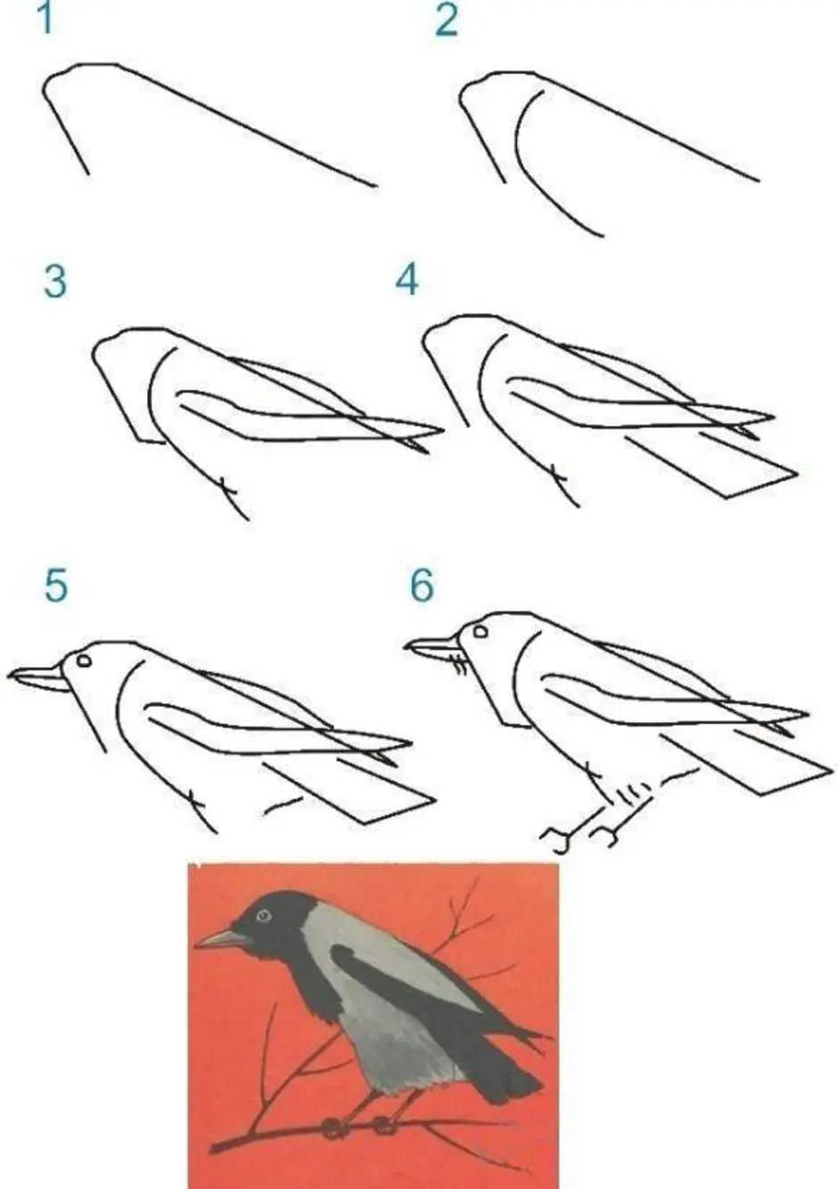 Рисунок грача легкий