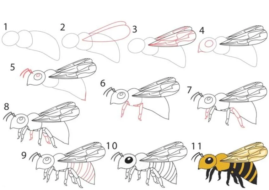 Как просто нарисовать пчелу
