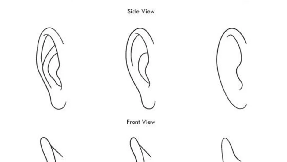 Как легко нарисовать ухо человека