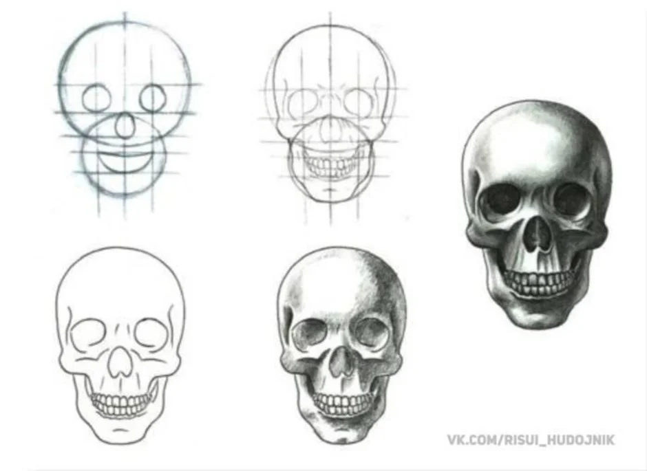 Как нарисовать череп легко и быстро