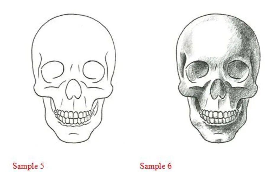 Рисунок для начинающих череп