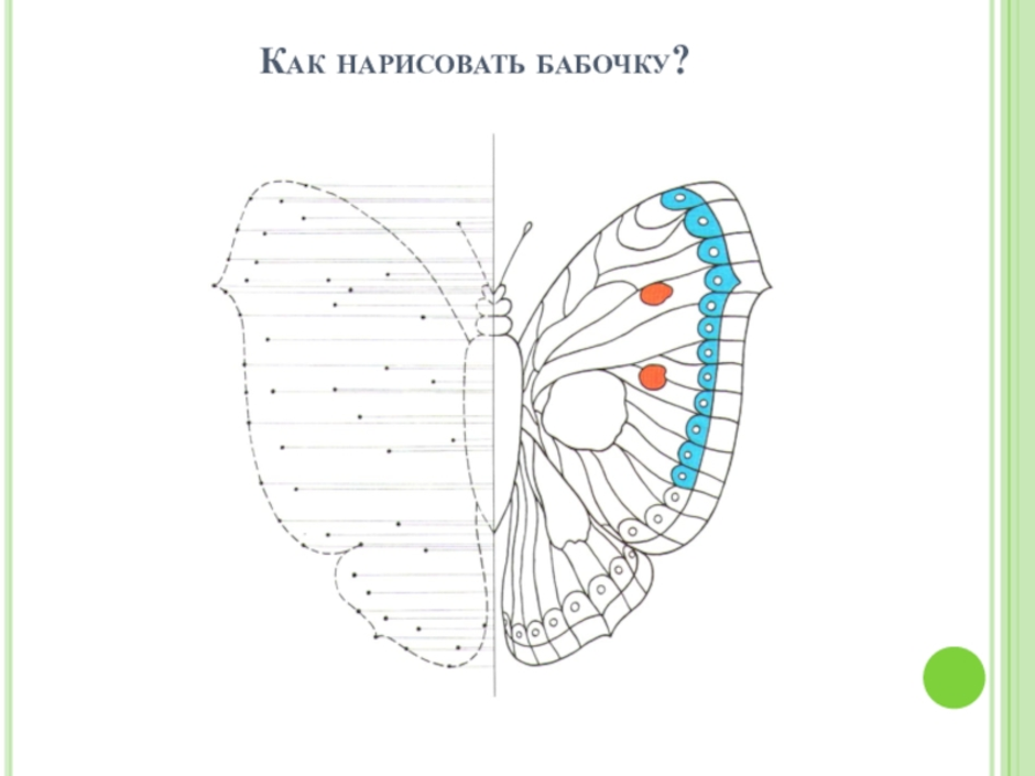 Презентация как нарисовать бабочку