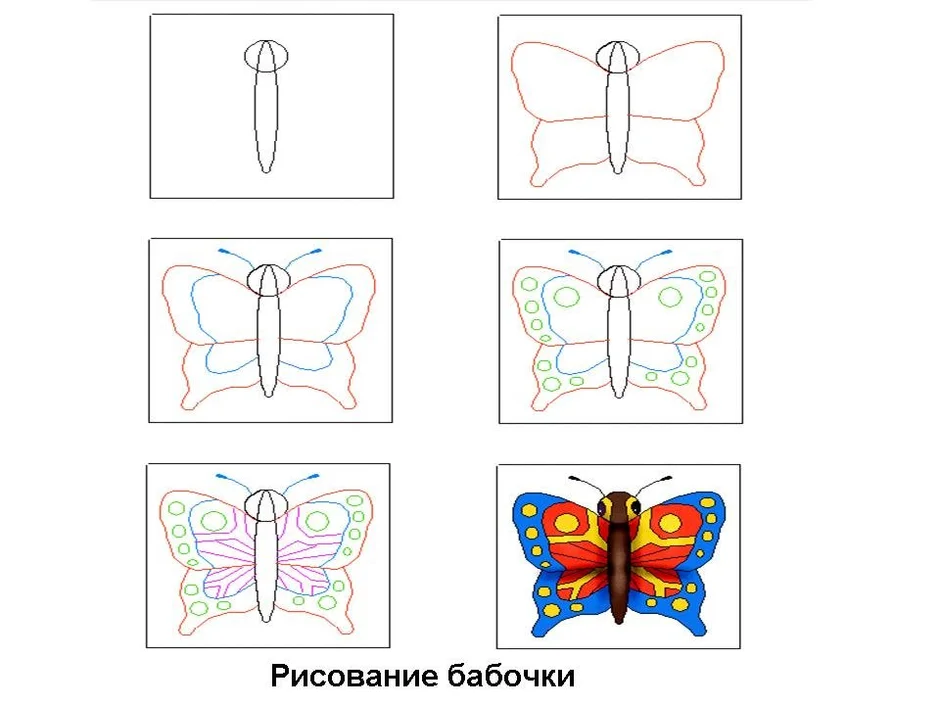 Нарисовать бабочку поэтапно для детей